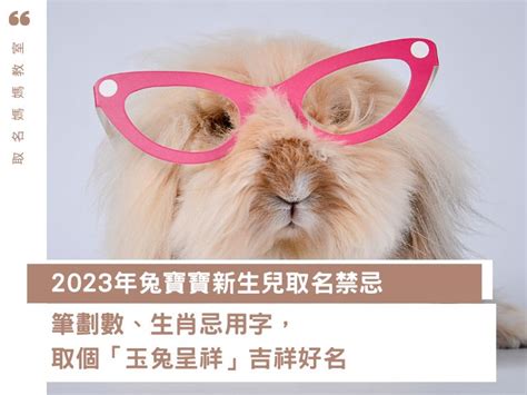 兔 取名|2023兔寶寶取名吉祥＆禁忌用字｜這個字讓寶貝一生不愁吃穿喝 